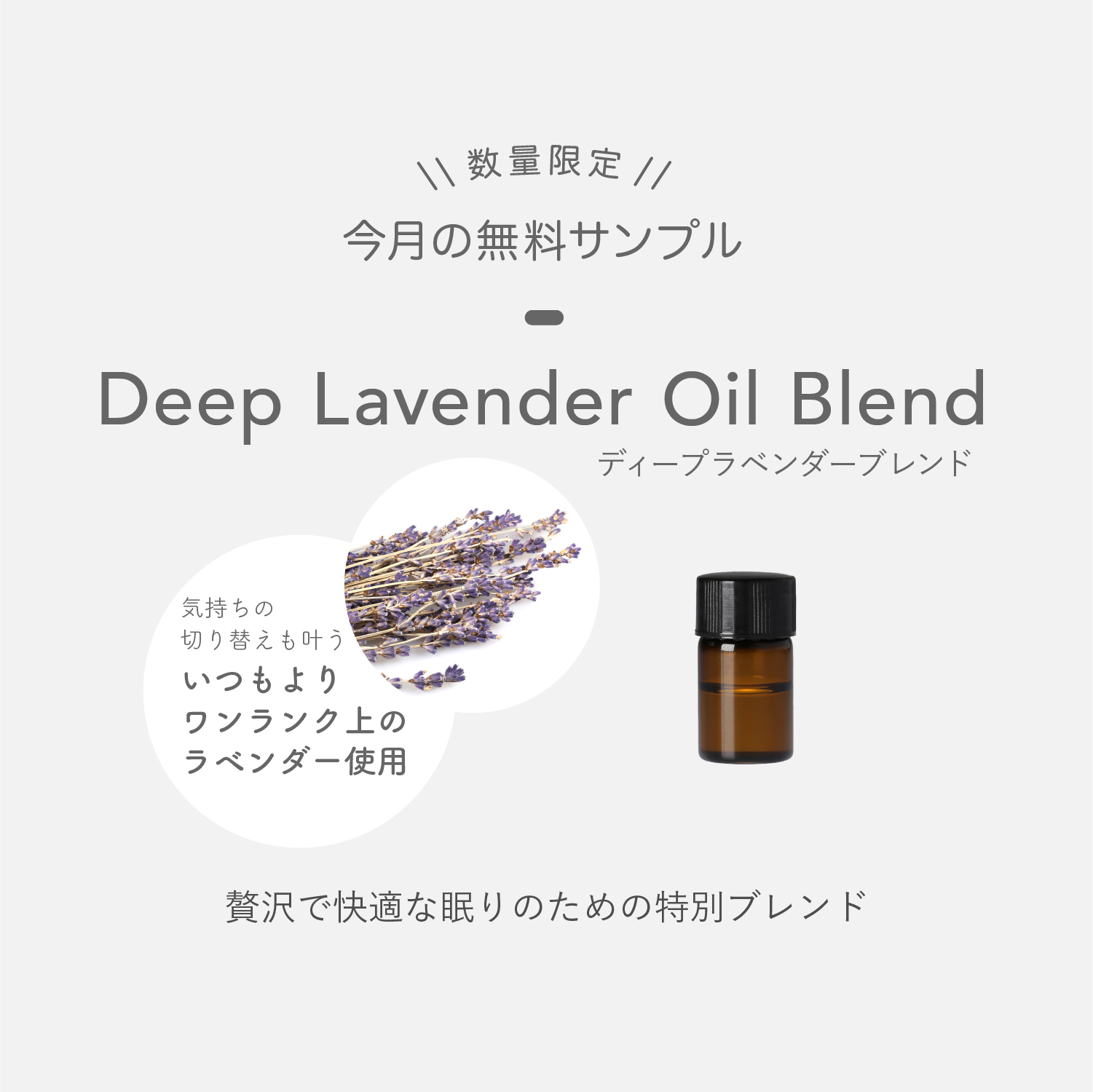 今月の無料サンプル