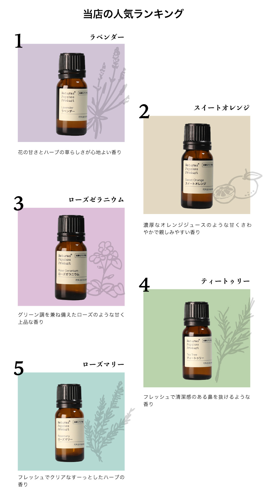 はじめてのアロマ【選べる5ml×5本セット】 初心者の方にもおすすめなセット