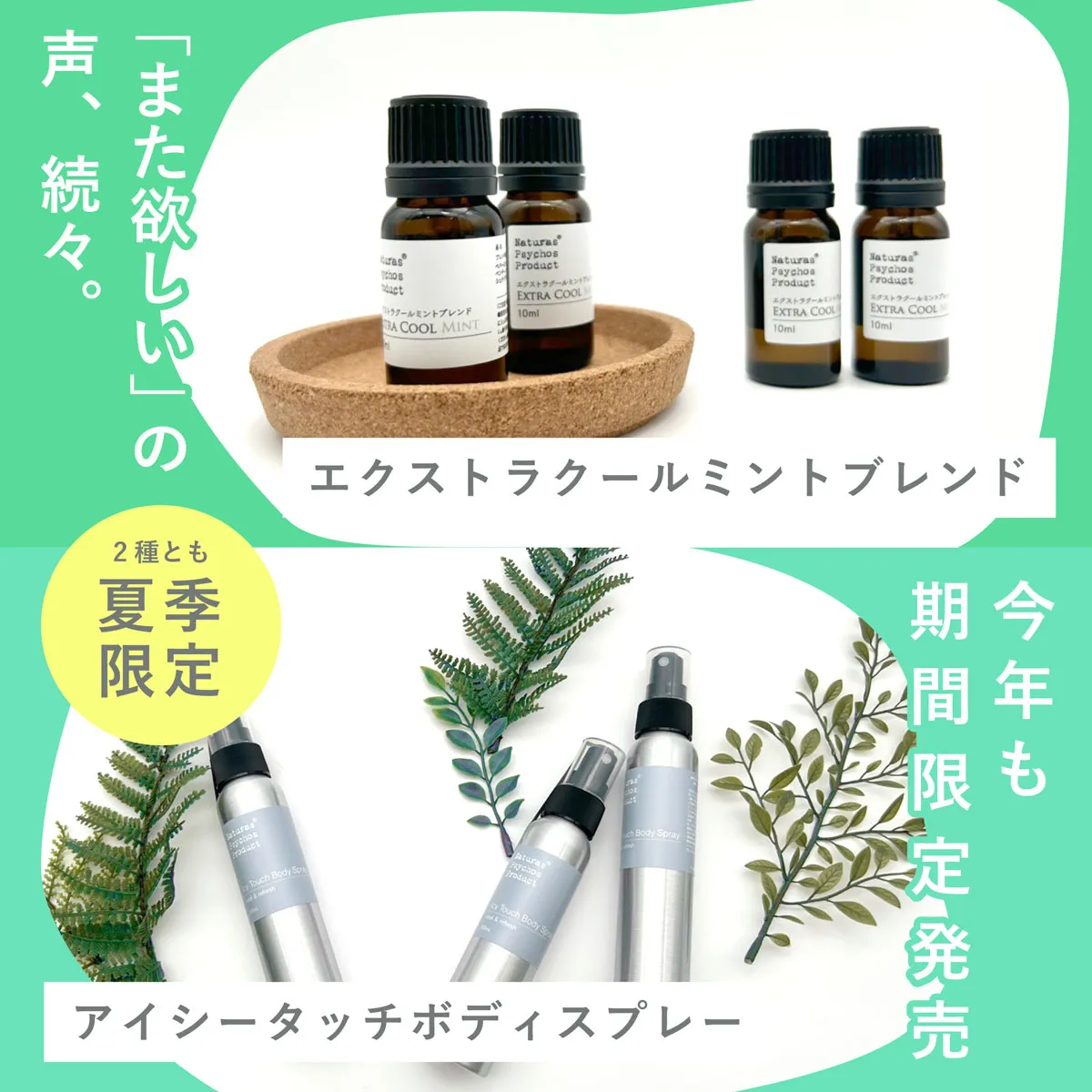 アウトドア