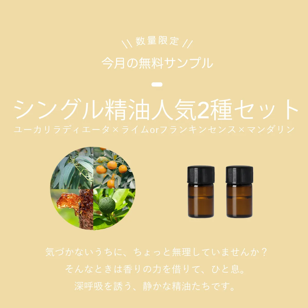 無料サンプル