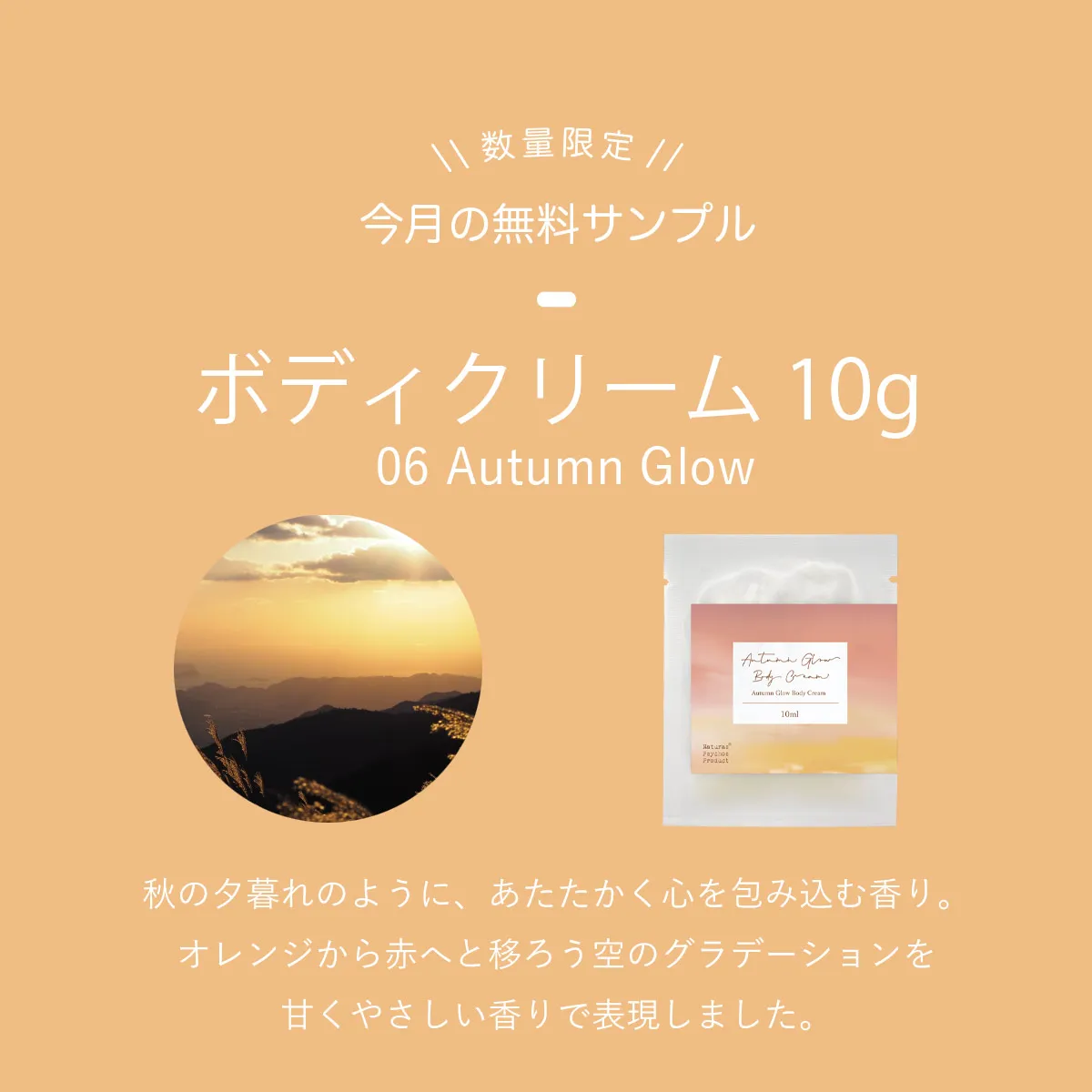 無料サンプル