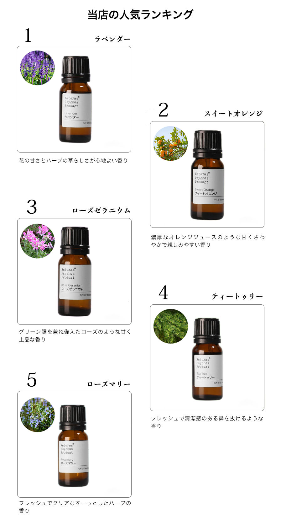 はじめてのアロマ【3ml×5本セット】