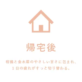 帰宅後