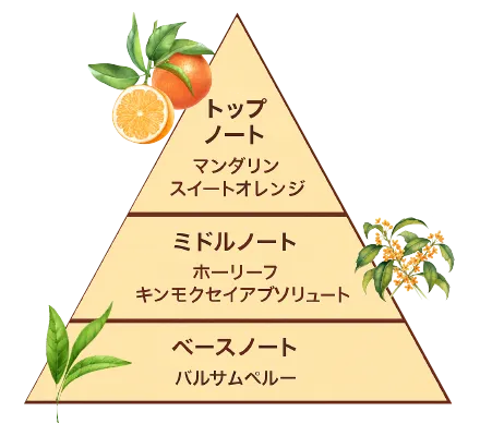 夏が来るたびに、こんなモヤモヤを感じていませんか?