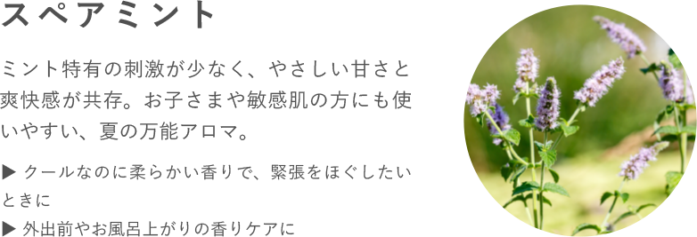 スペアミント