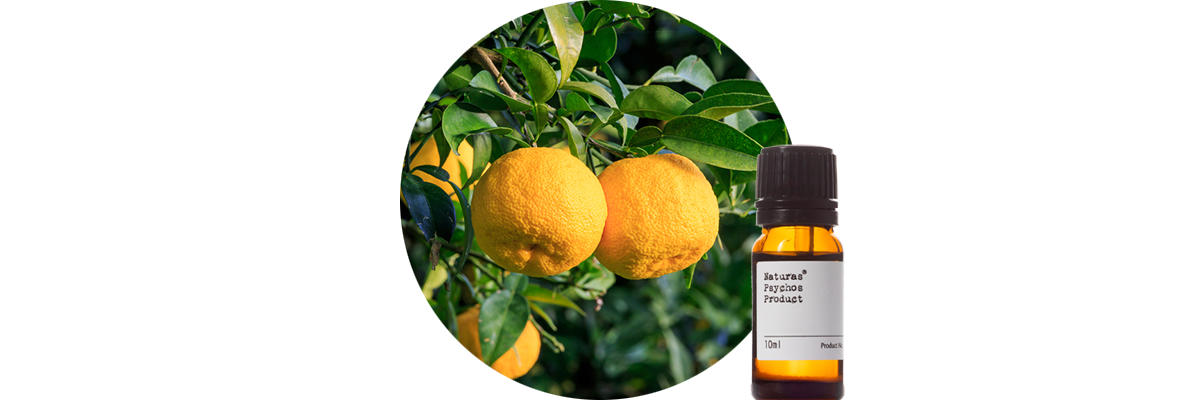 ユズエッセンシャルオイル、アロマオイル、エッセンシャルオイルの通販